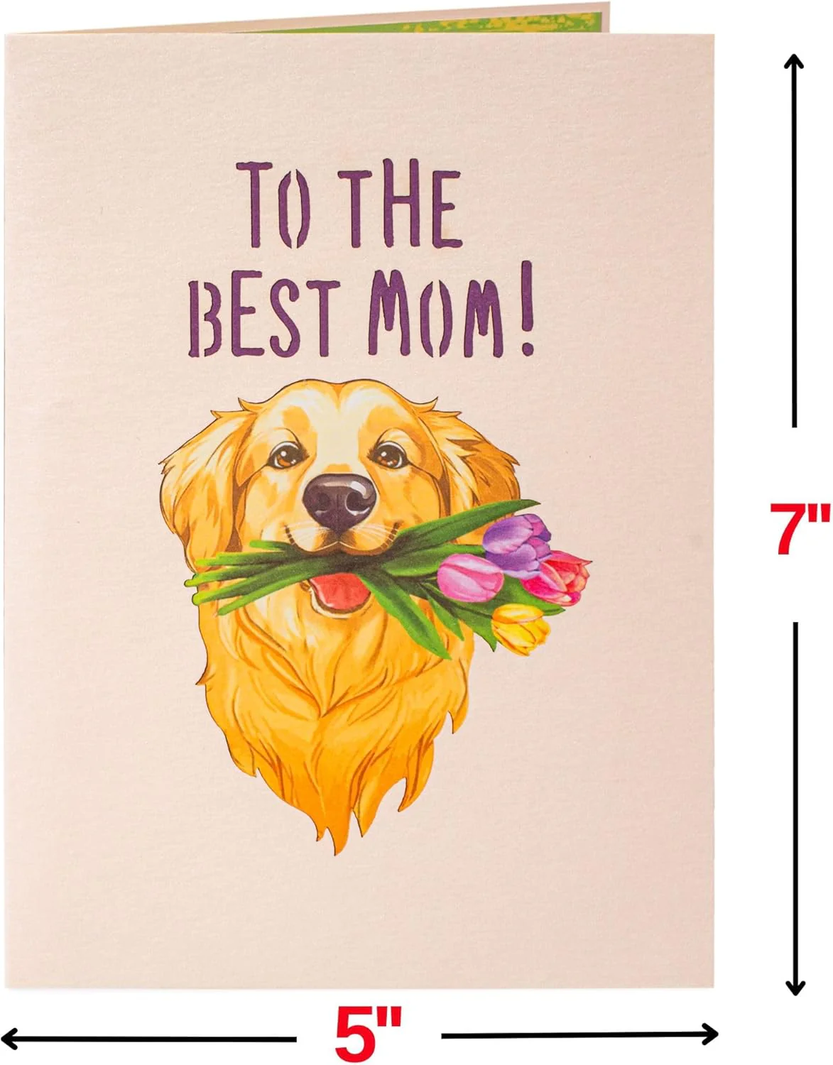 Happy Mother's Day Dog Pop Up Card - 5" x 7" - Image 3