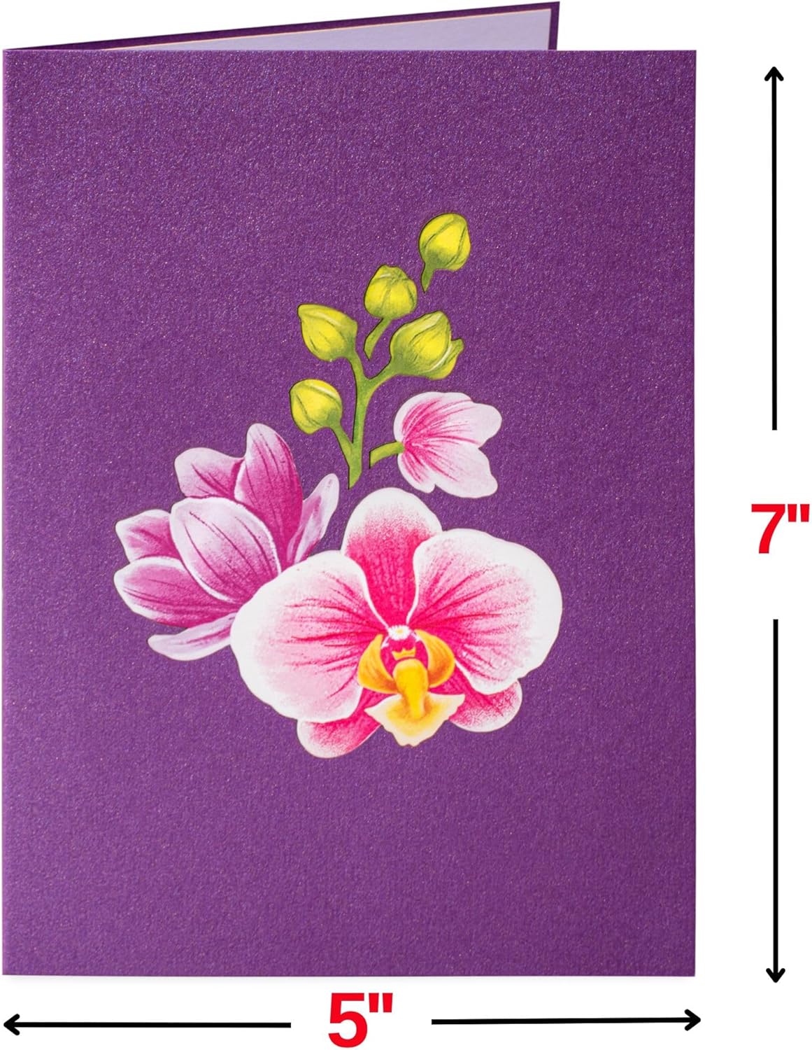 Happy Mothers Day Orchids Pop Up Card - 5" x 7" - Image 3
