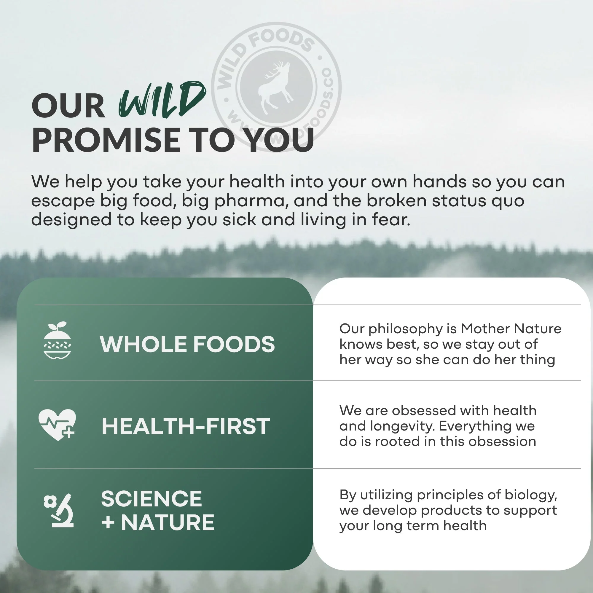 Wild Creatine + Electrolytes - Image 19