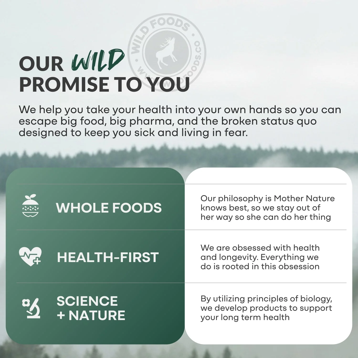 Wild Creatine + Electrolytes - Image 8