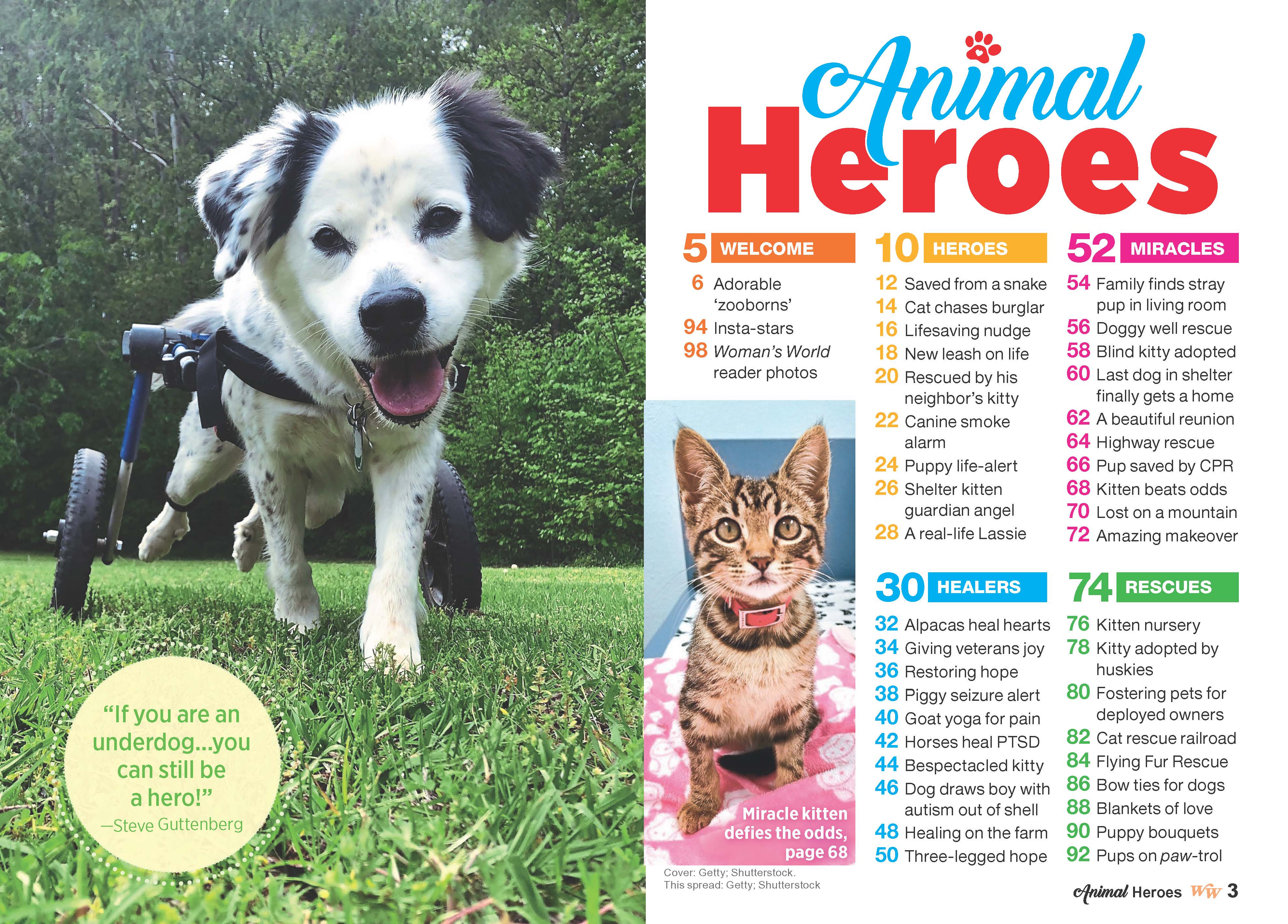 Woman's World Specials - Animal Heroes: 38 Astonishing Tales Of Love & Courage, Dog Saves Family From Fire, Horse Heals Veterans, Cat Inspiring Thousands, Piglet Changing Lives, (Digest Sized) - Image 2