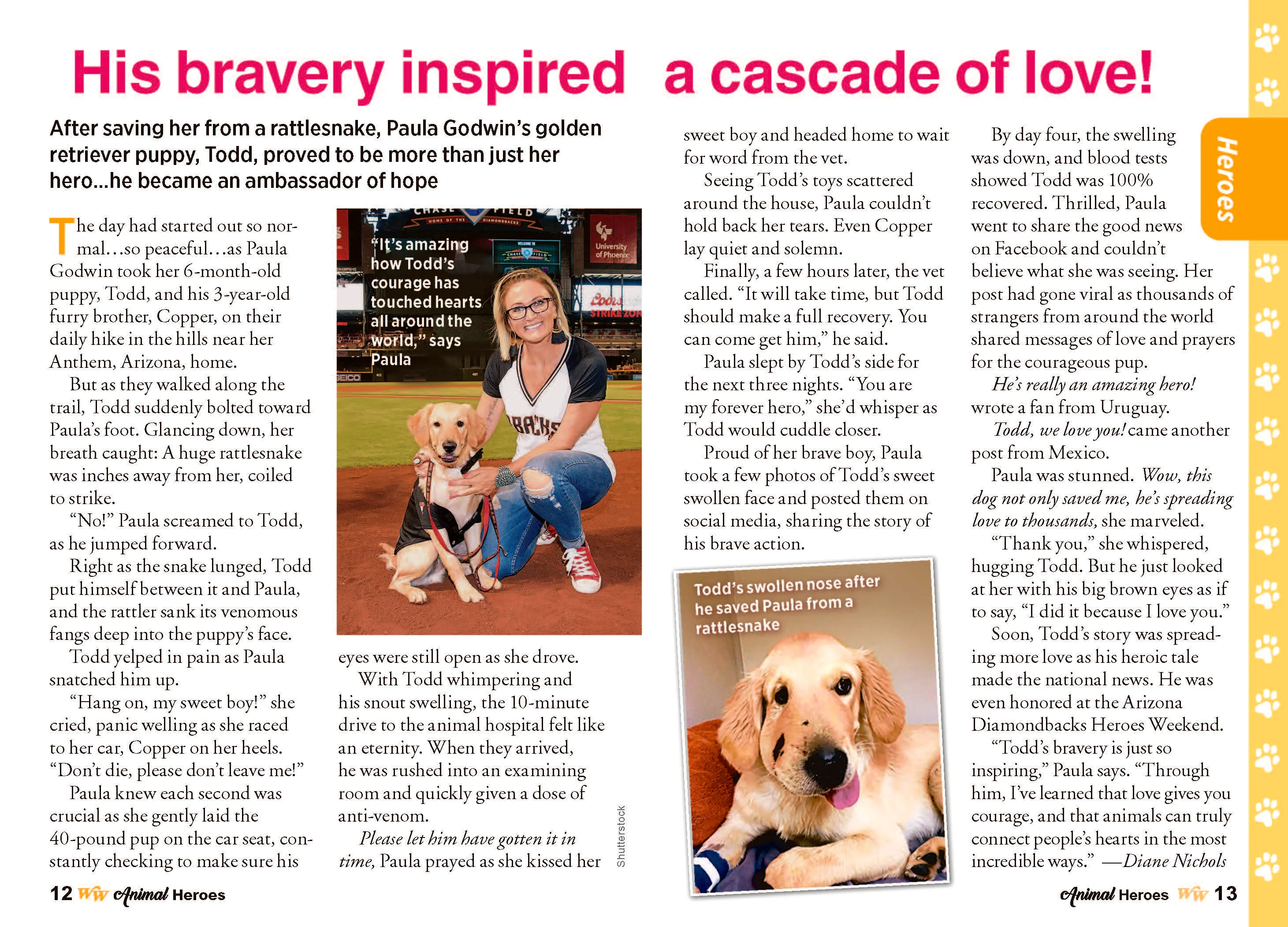 Woman's World Specials - Animal Heroes: 38 Astonishing Tales Of Love & Courage, Dog Saves Family From Fire, Horse Heals Veterans, Cat Inspiring Thousands, Piglet Changing Lives, (Digest Sized) - Image 3